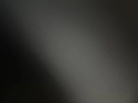 1735156062_1.jpg?f=webp&w=200