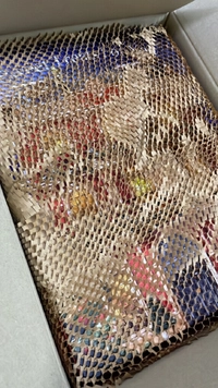IMG_92611736449331301.jpeg?f=webp&w=200