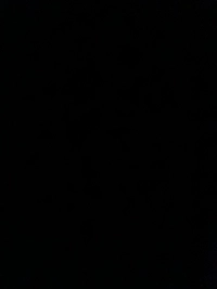 image1738151430318.jpg?f=webp&w=200