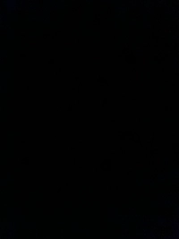 image1738151466097.jpg?f=webp&w=200