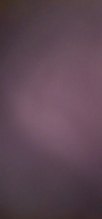 20250208_1515321739018456422.jpg?f=webp&