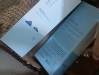 IMG20250210WA00191739167530585.jpg?f=web