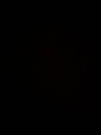 IMG_96551740342280555.jpeg?f=webp&w=200