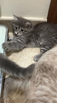 9b708e02a52543ea8f5fb792e925c5f017421422