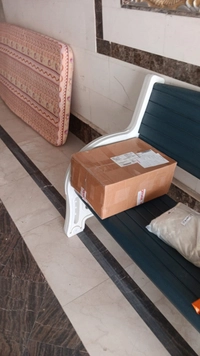 10004182621745535906350230962b29385.jpg?