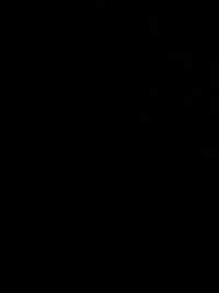 IMG_31031743986561332e28ef3c71737.jpeg?f