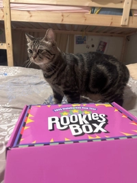Rookiesbox1745475888455d249471047a2.jpg?