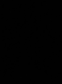 image1744189891601db346552dfa1.jpg?f=web