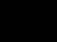 image174498061756244f4d9c05b4c.jpg?f=web