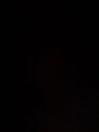 image1744987866354124a31b60df4.jpg?f=web