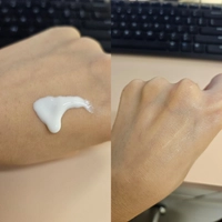 10000491011747086119858ca6681340e4b.jpg?