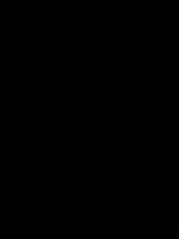 image1748543513617fad0134bf953.jpg?f=web