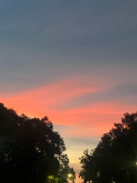 IMG_850717501305795985229a382e264.jpeg?f