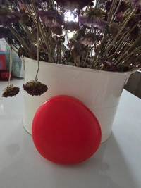 1000162595.jpg4238fce6b2dc.jpg?f=webp&w=