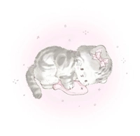 IMG_2661.jpegcb5251c765bf.jpeg?f=webp&w=