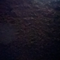 IMG_4477.jpeg798c7d0437db.jpeg?f=webp&w=
