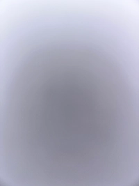 IMG_5260.jpeg042279f0d3b1.jpeg?f=webp&w=