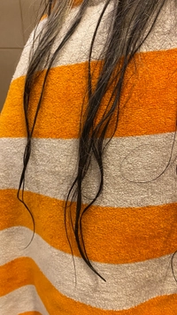 IMG_5764.jpegf813ca30fd5d.jpeg?f=webp&w=