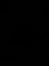 image.jpg014a214111ba.jpg?f=webp&w=200