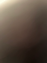 image.jpg31b604f7e256.jpg?f=webp&w=200