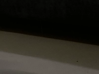 image.jpg4f6f7ec2fcaf.jpg?f=webp&w=200