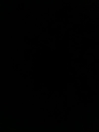 image.jpgb01170a185ab.jpg?f=webp&w=200