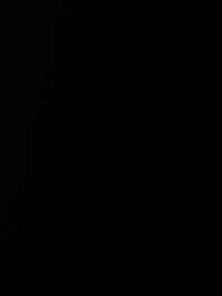 image.jpgc03159760349.jpg?f=webp&w=200