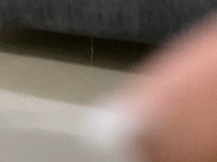 image.jpgd7b49249cfe9.jpg?f=webp&w=200