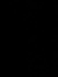 image.jpgede294619ee4.jpg?f=webp&w=200