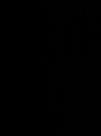 image.jpgee3c4030e6ff.jpg?f=webp&w=200