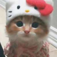 1754496496_1000096329a815c5bd3e74.webp?f