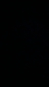 20250803_013141.jpg2e0d81323c74.jpg?f=we