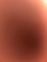 image1d6d90d0c19d.jpg?f=webp&w=200