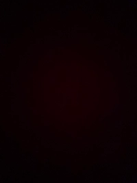image2a4dab7b199d.jpg?f=webp&w=200