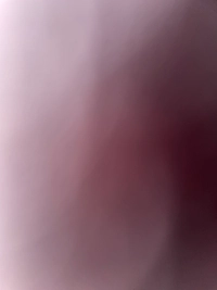 image32f1a6a26c36.jpg?f=webp&w=200
