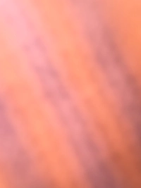 image4927b7915598.jpg?f=webp&w=200