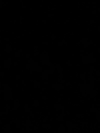 image4b76bf16ba9d.jpg?f=webp&w=200