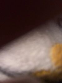 image8057cbf4e43e.jpg?f=webp&w=200
