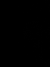 imageaada40a0a56d.jpg?f=webp&w=200