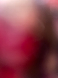 imageb1196f5e395d.jpg?f=webp&w=200