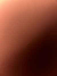 imageb9f25427074a.jpg?f=webp&w=200