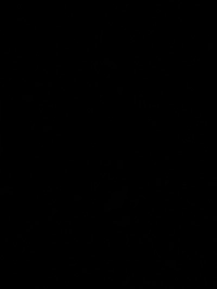 imagef8bfea22560d.jpg?f=webp&w=200
