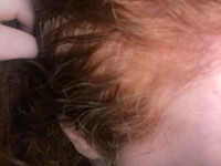 1757279455_IMG_5678a004ac8d5de9.jpeg?f=w