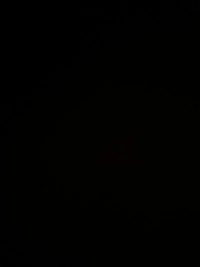 IMG_2494afc2025306da.jpeg?f=webp&w=200