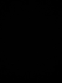 image0f988e85366b.jpg?f=webp&w=200