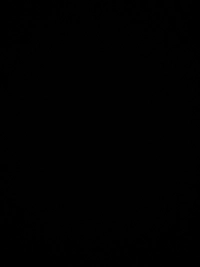 image1abe6e6d539f.jpg?f=webp&w=200