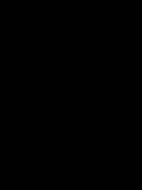 image5153ae51e993.jpg?f=webp&w=200