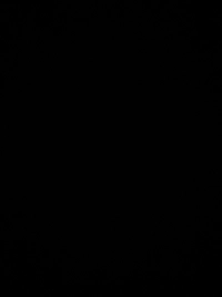 image81b0e40f3393.jpg?f=webp&w=200