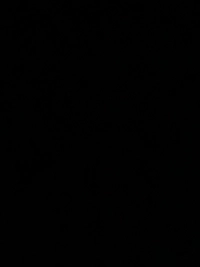 image9f2b5a7dd7a4.jpg?f=webp&w=200