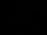 imageb765c4c13544.jpg?f=webp&w=200